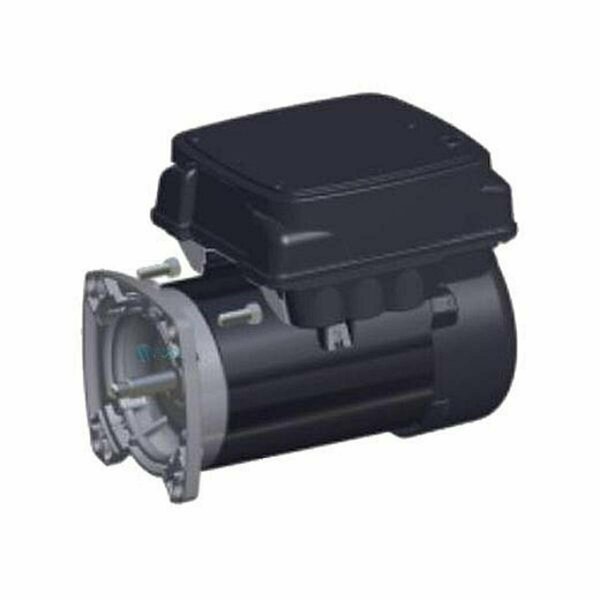 Hayward Flow Control Power End Variable Speed, Black SPX3202Z1VSPE